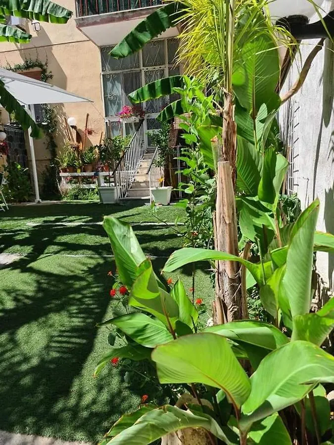 公寓 巴勒莫Casa Le Rose公寓