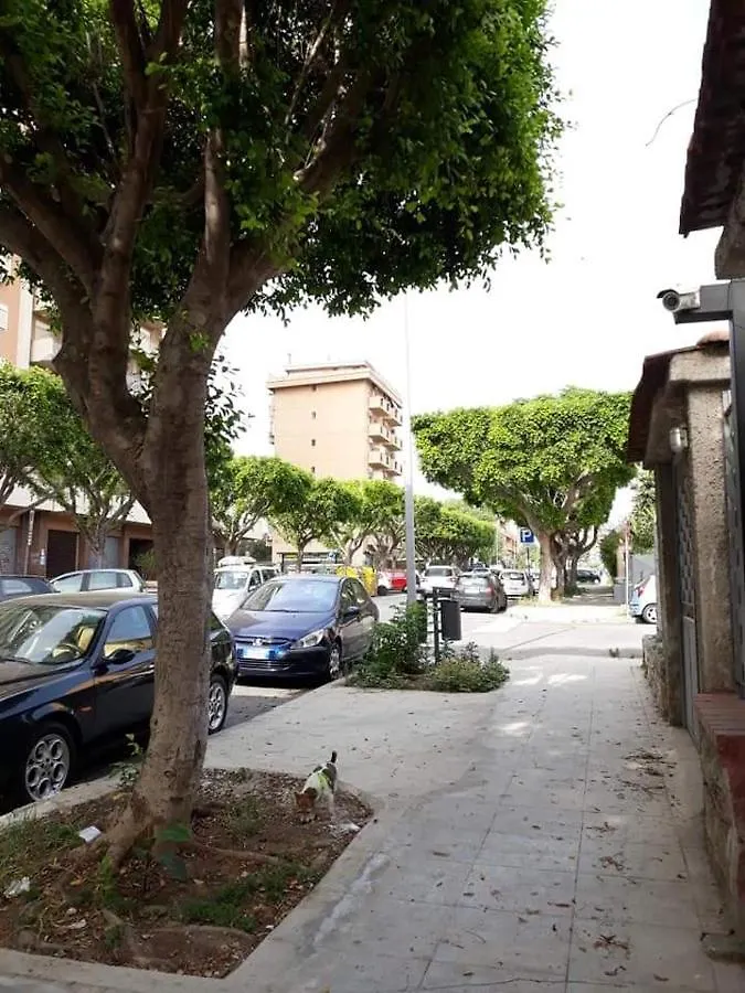 公寓 巴勒莫Casa Le Rose公寓